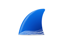 Wireshark v4.4.7 中文绿色版(集成驱动库网络抓包工具)